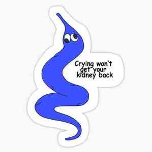 Meet your Posher, Meesha